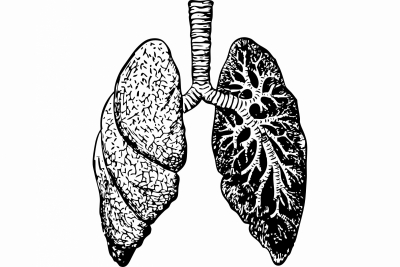  Long Covid: Mild Infections Can Lead To Hidden Lung Damage #long #covid-TeluguStop.com