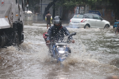  More Rains For Coastal Tamil Nadu, Cold Wave To Continue In Nw India: Imd-TeluguStop.com