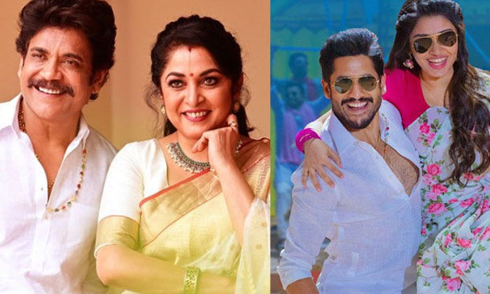  Akkineni Bangarraju Two Days Collections Bangarraju , Nagarjuna, Nagachaitanya ,-TeluguStop.com