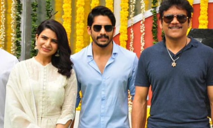 Telugu Akkineni, Web, Nagachaitanya, Nagarjuna, Samantha-Telugu Stop Exclusive T