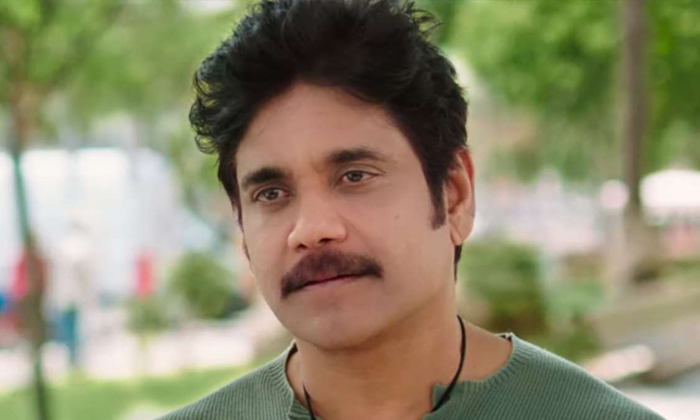  Nagarjuna Akkineni Bashes News Reports On Family Amid Chaitanya Separation From-TeluguStop.com