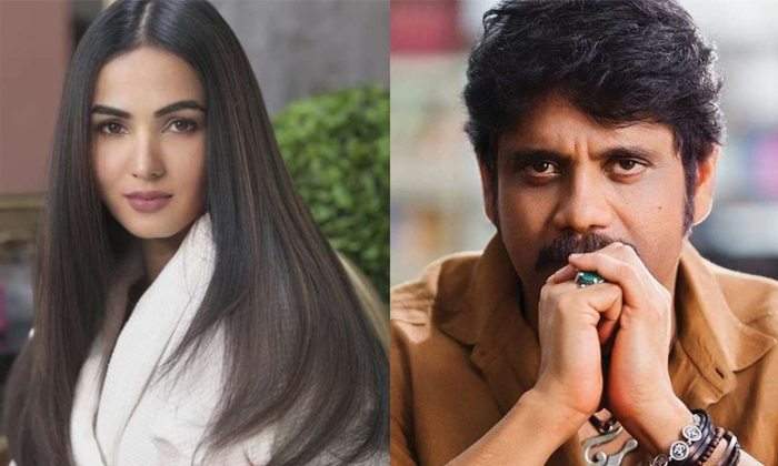 Telugu Sonal Chauhan, Kajal Agarwal, Nagarjuna, Nagarjuna Ghost, Ghost, Tollywoo