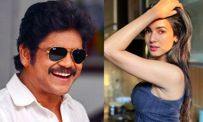  Nagarjuna The Ghost Bollywood Beauty Sonal Chauhan Joins Ghost Movie Details,  N-TeluguStop.com