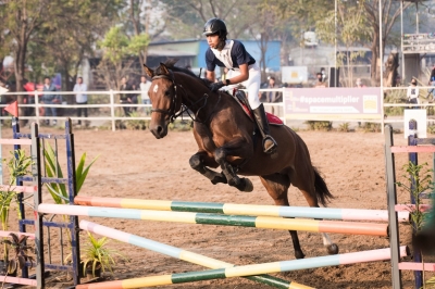  National Equestrian Championship To Be Held In Mumbai From Saturday #national #e-TeluguStop.com