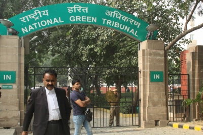  Ngt Directs Joint Committee To Look Into Fly Ash Dumping In Haryana’s Rewa-TeluguStop.com