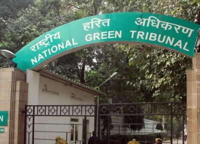  Ngt Raps Pcb, Ghaziabad Municipal Corp Over Inaction On Illegal Dairy Farms #rap-TeluguStop.com