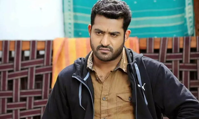  Ntr Fans Wants A Pushpa For Hero, Ntr Fans , Pushpa, Tollywood , Ntr , Rrr , All-TeluguStop.com