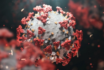  Omicron Doesn’t Cause As Much Damage To The Lungs-TeluguStop.com