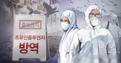  S.korea Culls Chickens Over Bird Flu Outbreaks #skorea #culls-TeluguStop.com
