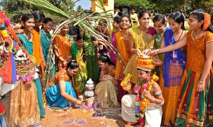  Why Do Make Paramannam On Sankranthi, Sankarnthi , Devotional , Pramannam , Cele-TeluguStop.com