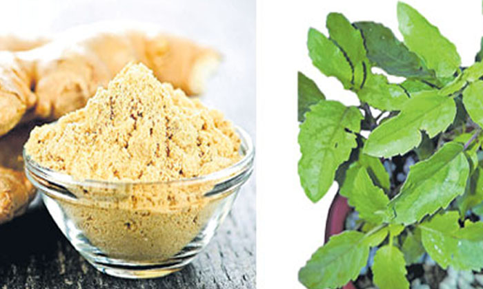  Best Herbal Tea To Get Rid Of Dark Circles! Herbal Tea, Dark Circles, Skin Care,-TeluguStop.com