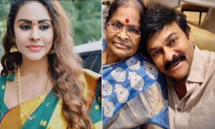  Actress Srireddy Sorry Chiranjeevi Mother Why Because , Srireddy, Tollywood , An-TeluguStop.com