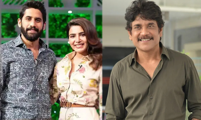  Star Hero Nagarjuna Comments Chaitanya Samantha Divorce Details, Nagarjuna, Naga-TeluguStop.com