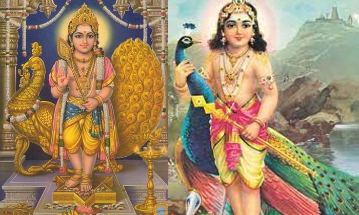  Kumara Swamy Special Sotry , Kumara Swami , Devotional , Shanmukudu , Subramanya-TeluguStop.com