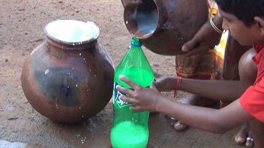  Traditional Tribal Wine Palm Toddy Wine In Telangana, Telangana, Traditional Tri-TeluguStop.com