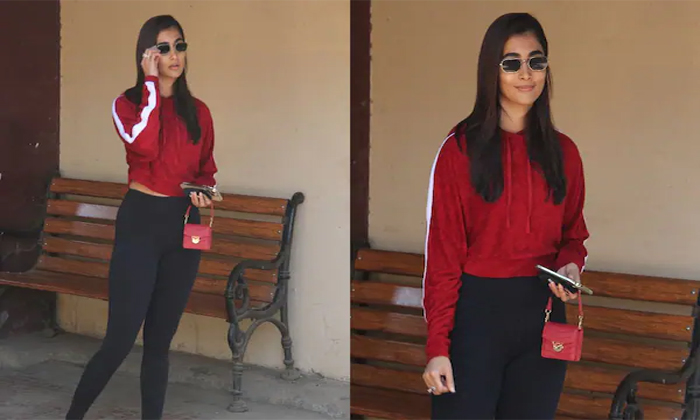  What Is There In Pooja Hedge Purse Details, Heroine Pooja Hegde, Pooja Hegde Pur-TeluguStop.com