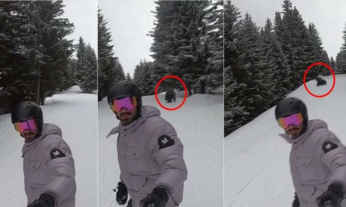  Chased By A Ferocious Bear When Going To Take Out Skiing , Viral Video , Scating-TeluguStop.com