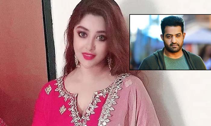  Actress Payal Ghosh Comments About Young Tiger Junior Ntr Goes Viral , Comments-TeluguStop.com