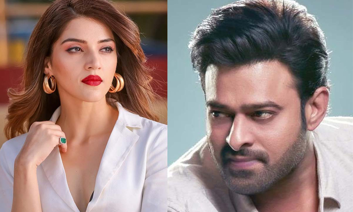  Mehreen Wish To Act With Prabhas Details, Heroine Mehreen, Mehreen Pirzada, Hero-TeluguStop.com