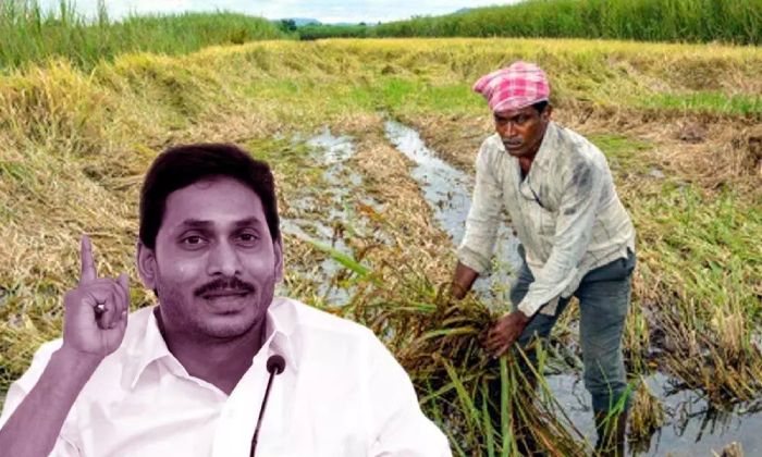  No Use To Farmers With “crop Insurance Scheme” In Ap: Farmers Associ-TeluguStop.com