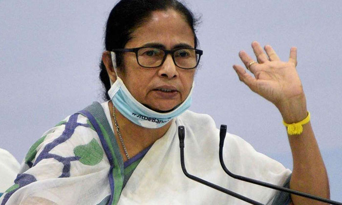  Mamatha Banerjee Party Won Muncipal Elections Mamatha Banerjee, Modi, Trinamoo-TeluguStop.com