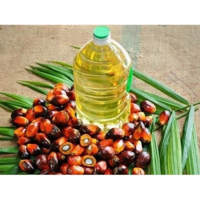  Agri Cess For Crude Palm Oil Reduced To Keep Price Rise In Check #agri #crude-TeluguStop.com