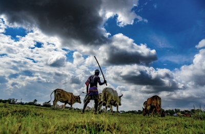  Chhindwara’s Sweet Corn Village Turns Around The Lives Of Farmers #chhindw-TeluguStop.com