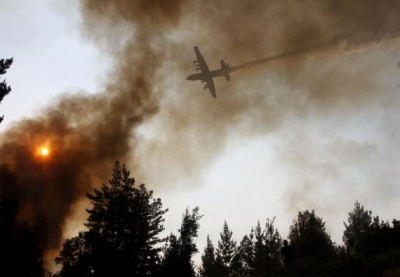  Chile Blaze Burns Over 1,200 Hectares Of Forest #chile #blaze-TeluguStop.com