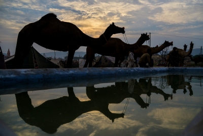  Despite High Debts, Rajasthan Hopes For Silver Lining Soon-TeluguStop.com