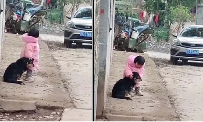  Little Kid Comforts Puppy Dog Lovely Video Goes Viral , Dog Viral Video , Langur-TeluguStop.com