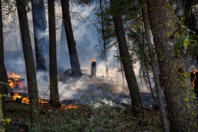  Even Arctic Faces Rising Wildfire Risk, Experts Warn Ahead Of Un Environment Ass-TeluguStop.com