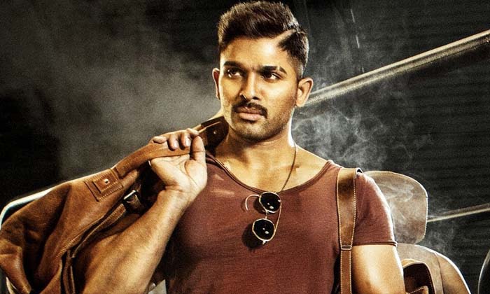  Allu Arjun Not Want To Do A Bollywood Movie At This Time , Allu Arjun , Allu A-TeluguStop.com