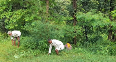  Guardians Of The Forest: Mp Village's Legacy Of Collective Action Keeps Fires At-TeluguStop.com