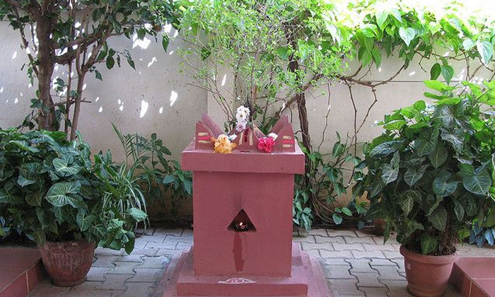  Importance Of Tulasi Pooja In Karthika Masam Details, Tulasi Pooja, Karthika Mas-TeluguStop.com