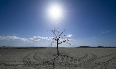  Megadrought In Us Worst In 1,200 Years: Study-TeluguStop.com