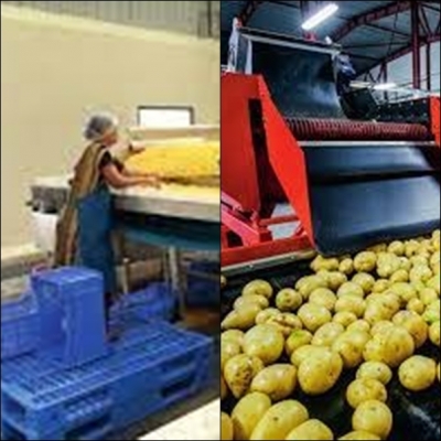  Pli In Food Processing Enhanced To Promote Exports #enhanced #promote-TeluguStop.com