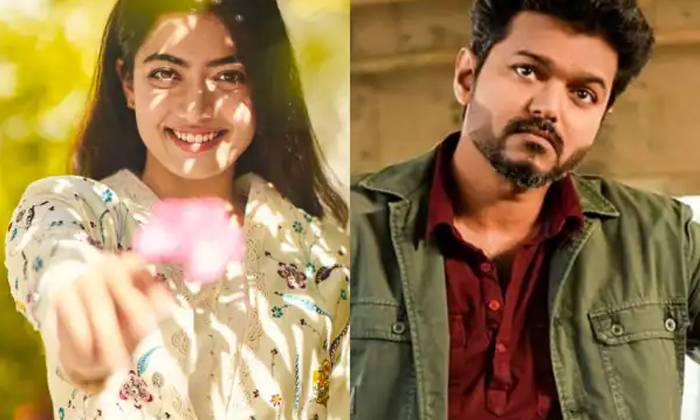  Rashmika Is With Kollywood Star Hero Srivalli Speed ​​is Next Level, Rashmik-TeluguStop.com