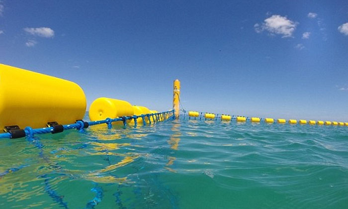  Shark Attack Victims Shark Net Is Ineffective, Shark Attack, Shark Net , Austral-TeluguStop.com