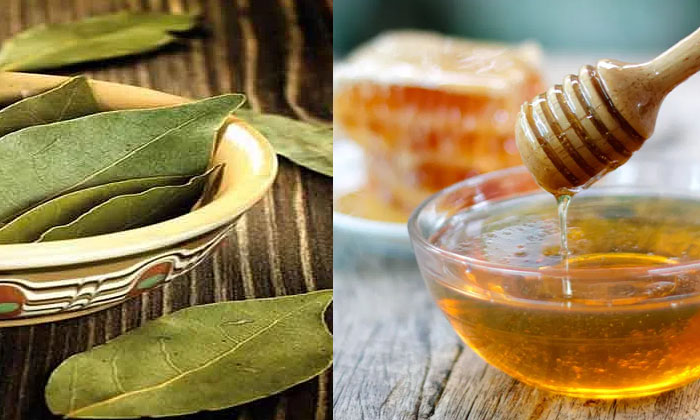  Bay Leaf Help To Get Rid Of Pimples Naturally! Bay Leaf, Pimples, Latest News, S-TeluguStop.com