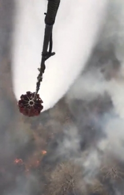 80% Of Fire In Sariska Forests Controlled, Say Raj Officials 80% Of Fire In Sariska Forests Controlled, Say Raj Officials-TeluguStop.com