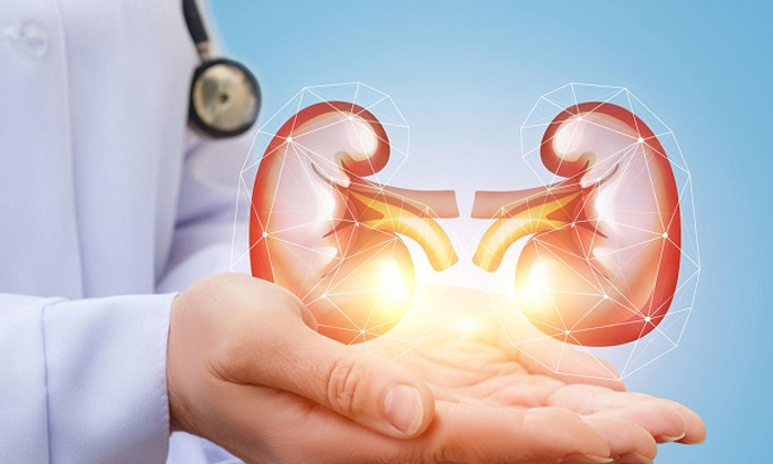  Awareness Rally Organized By Team Hospitals Us To Mark World Kidney Day , Team H-TeluguStop.com