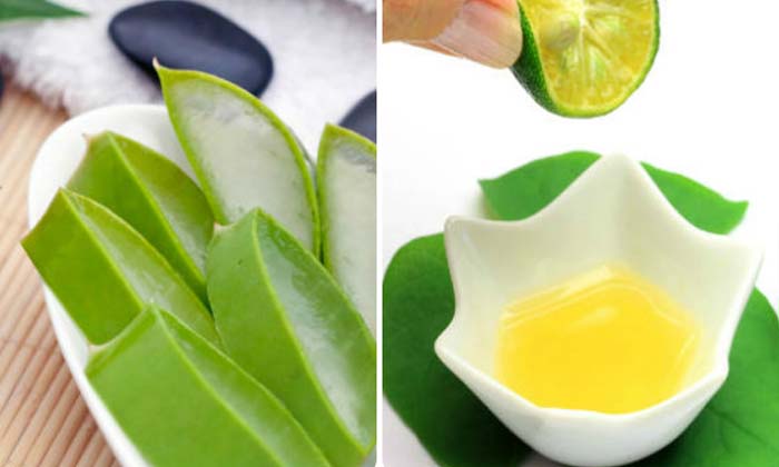 Telugu Aloe Vera, Parlor, Coconut Milk, Dandruff, Healthy, Hibiscus-Telugu Healt