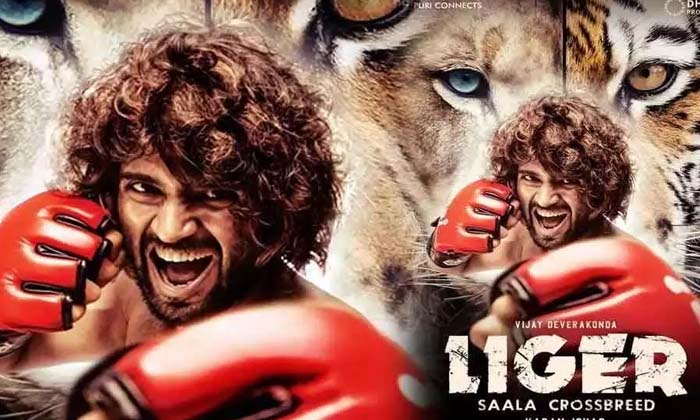 Telugu Ananya Pandey, Bollywood, Charmy, Jana Gana Mana, Liger, Mumbai, Puri Jag