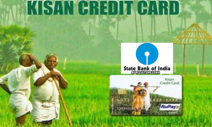  How To Apply For Pashu Kisan Credit Card , Kisan Credit Card , Cows, Buffaloes,-TeluguStop.com