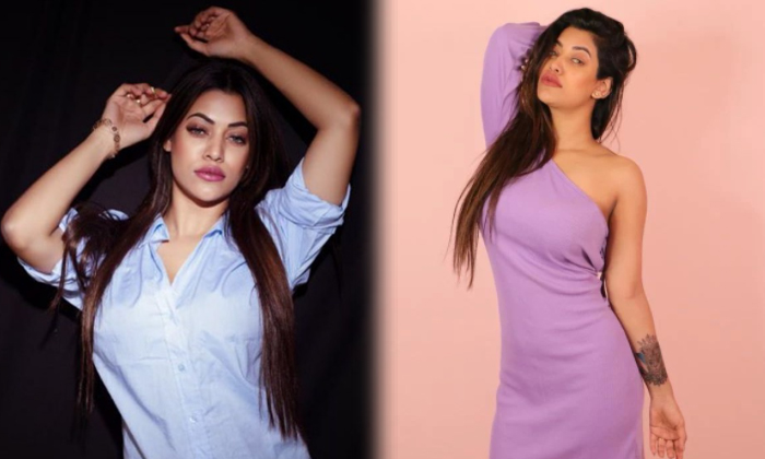 Model Actress Glancy Rego Gorgeous Pictures-telugu Actress Photos Model Actress Glancy Rego Gorgeous Pictures - Actressg High Resolution Photo