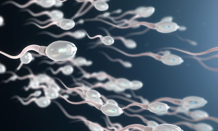  Reasons Behind Watery Sperm Details, Sperm, Watery Sperm, Sperm Count, Protein I-TeluguStop.com