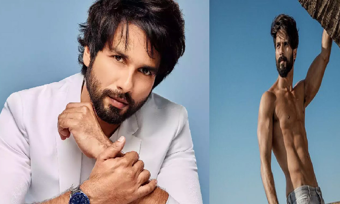  Shahid Is Obsessed With Another Telugu Movie, To Be Remade In Hindi!-TeluguStop.com
