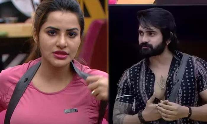 Telugu Akhil, Ashu Reddy, Bigg Boss, Nagarjuna, Store-Movie