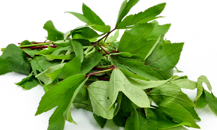  It Would Be A Shock To Know These Benefits In Gongura , Vitamins A, B1, B9,  Car-TeluguStop.com