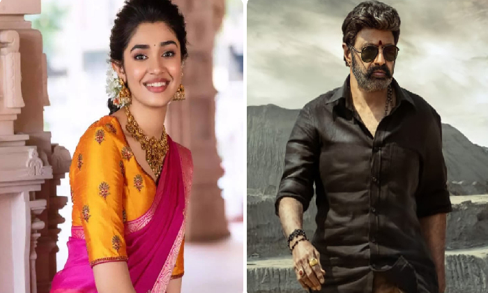  Young Heroine Rejects To Act With Nandamuri Balakrishna!-TeluguStop.com